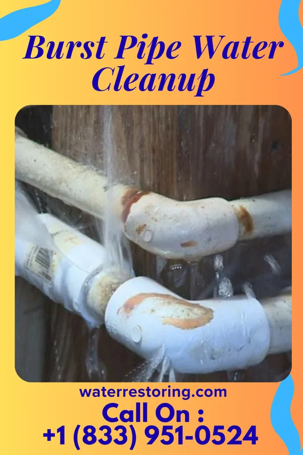 Burst Pipe Water Cleanup in East Sharpsburg, PA
