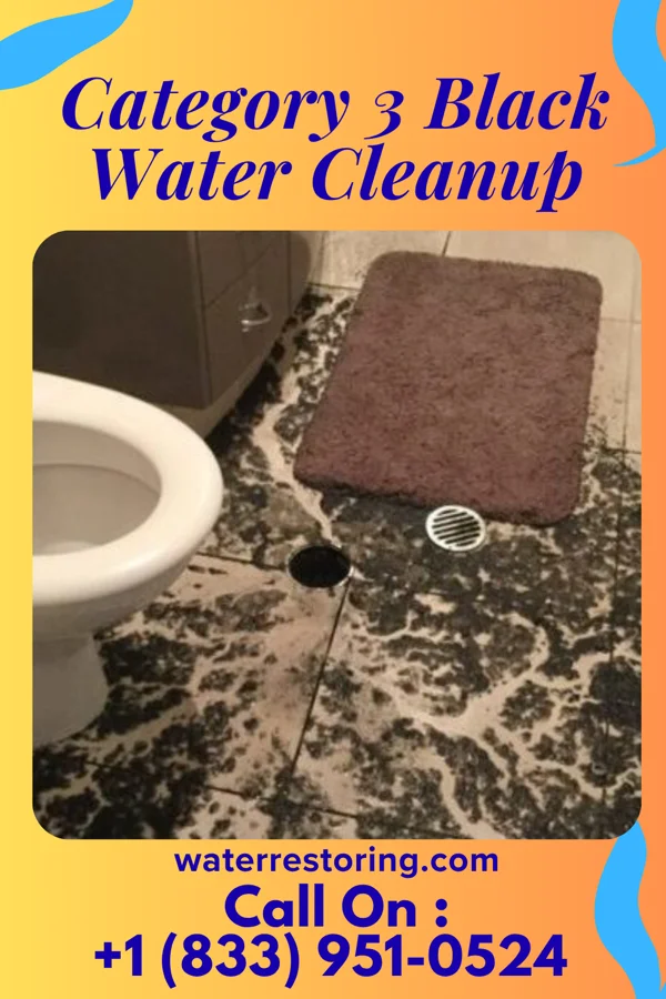 Category 3 Black Water Cleanup in East Sharpsburg, PA