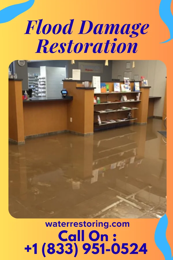 Flood Damage Restoration in East Sharpsburg, PA