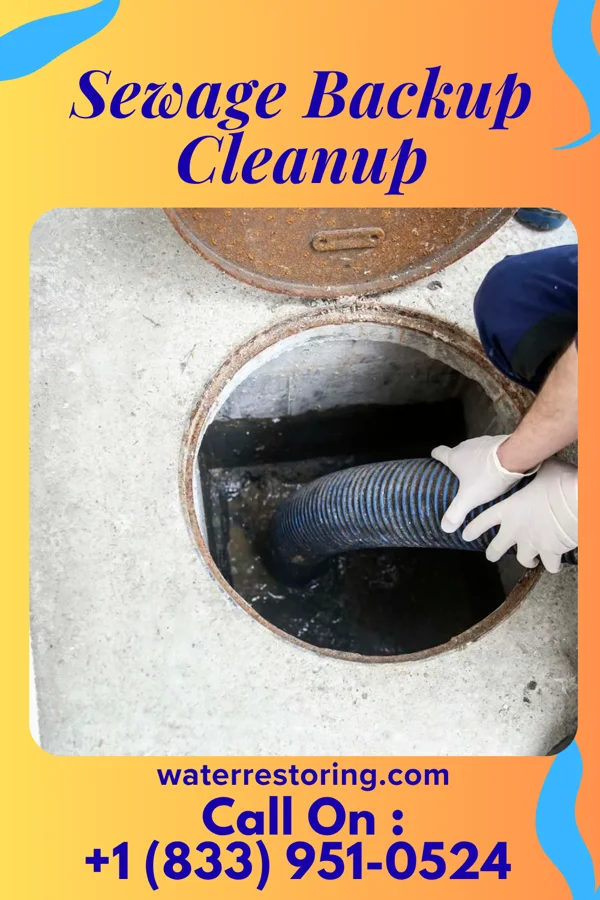 Sewage Backup Cleanup in East Sharpsburg, PA