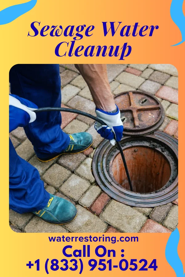 Sewage Water Cleanup in East Sharpsburg, PA