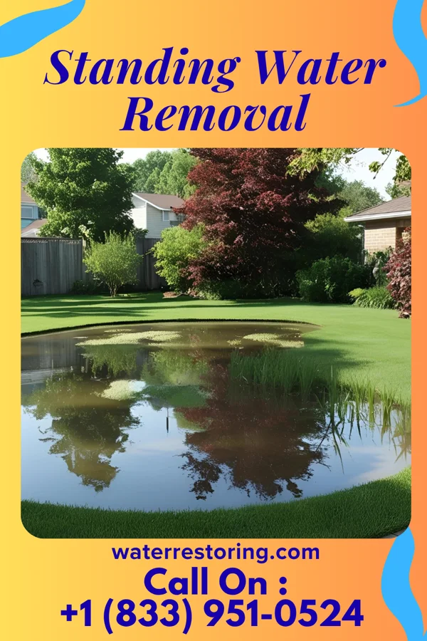 Standing Water Removal in East Sharpsburg, PA
